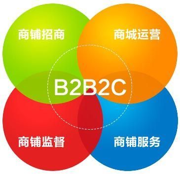 B2B2C商城盈利之道 从系统开发到精细化运营的全景策略