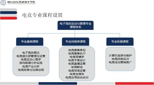 电子竞技运动与管理专业介绍 电子商务平台开发及运营方向