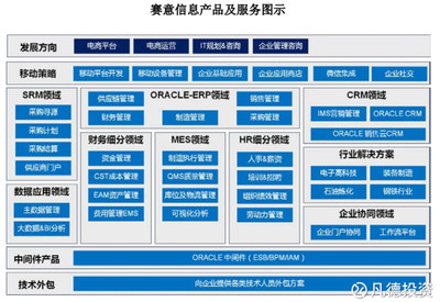 新股简析 赛意信息（300687）——电子商务平台开发及运营的潜力股